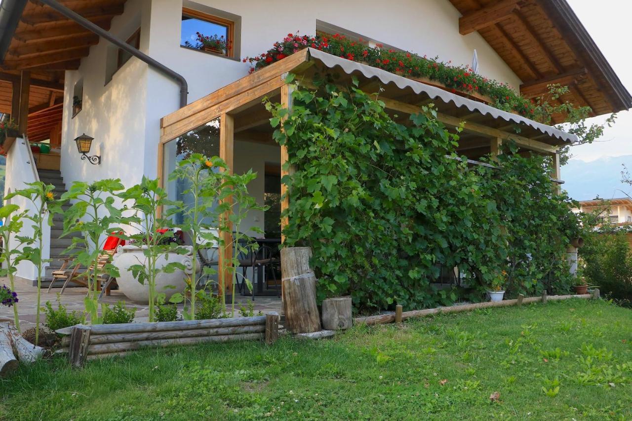 B&B Fruehlingsheim Racines Esterno foto
